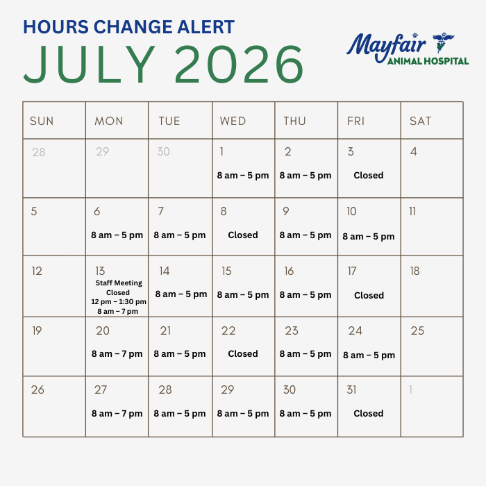 July calendar